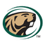Beavers