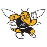 Yellow Jackets