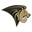 Lions