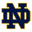 Fighting Irish