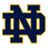 Fighting Irish