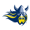 Vikings