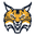 Bobcats