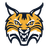 Bobcats