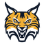 Bobcats