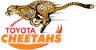Cheetahs
