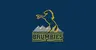 Brumbies