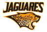 Jaguares