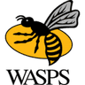 Wasps