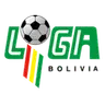 Primera División