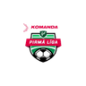 1. Liga