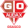 Gremio Osasco Audax