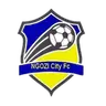 Ngozi City