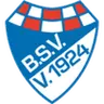 Brinkumer SV