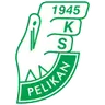 Pelikan Łowicz