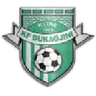 Dukagjini