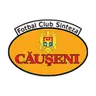 Sinteza Căuşeni