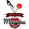Magpies