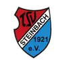 TSV Steinbach Haiger