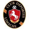 Deportes Limache