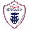 Vigor Senigallia