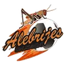 Alebrijes de Oaxaca