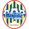 Montedio Yamagata