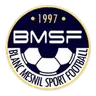 Blanc Mesnil