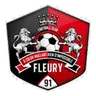 Fleury 91