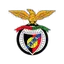 Penya Encarnada