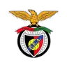 Penya Encarnada