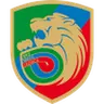 Miedź Legnica