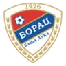 Borac Banja Luka
