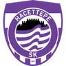 Hacettepe
