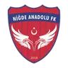 Niğde Anadolu FK