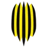 Rukh Vynnyky