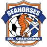 Seahorses