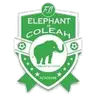 Eléphant Coléah
