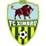 Zimbru