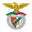 Benfica Castelo Branco