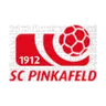 Pinkafeld