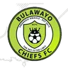 Bulawayo Chiefs