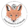 Stade Renard