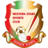 Dandy Town Hornets