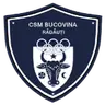 Bucovina Rădăuţi