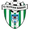 Bzenec