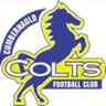 Cumbernauld Colts