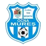 Ocna Mureș