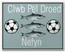 Nefyn United