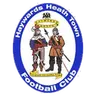 Haywards Heath Town